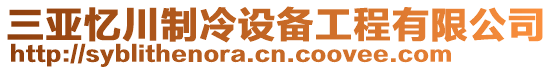 三亞憶川制冷設(shè)備工程有限公司