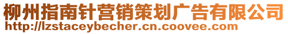 柳州指南針營銷策劃廣告有限公司