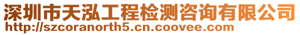 深圳市天泓工程檢測(cè)咨詢有限公司