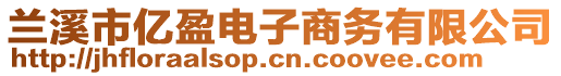 蘭溪市億盈電子商務(wù)有限公司