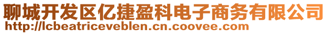 聊城開發(fā)區(qū)億捷盈科電子商務(wù)有限公司