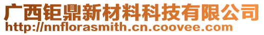 廣西鉅鼎新材料科技有限公司