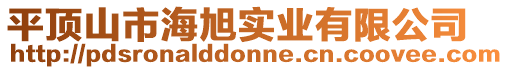 平頂山市海旭實業有限公司