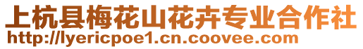 上杭縣梅花山花卉專業(yè)合作社