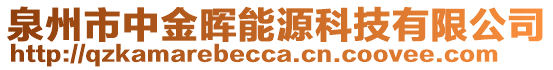 泉州市中金暉能源科技有限公司