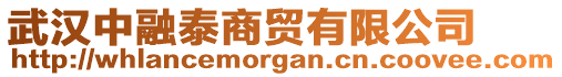 武汉中融泰商贸有限公司