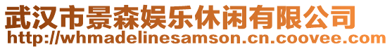 武漢市景森娛樂休閑有限公司