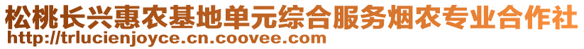 松桃長(zhǎng)興惠農(nóng)基地單元綜合服務(wù)煙農(nóng)專業(yè)合作社