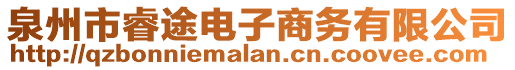 泉州市睿途電子商務有限公司