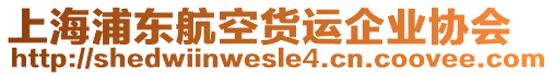 上海浦東航空貨運(yùn)企業(yè)協(xié)會