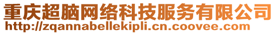 重慶超腦網(wǎng)絡科技服務有限公司