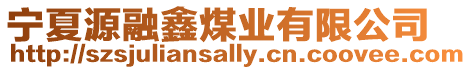 寧夏源融鑫煤業有限公司