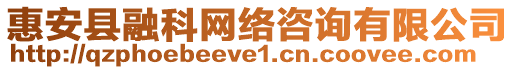 惠安縣融科網(wǎng)絡咨詢有限公司