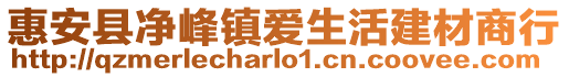 惠安縣凈峰鎮(zhèn)愛生活建材商行