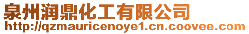 泉州潤鼎化工有限公司