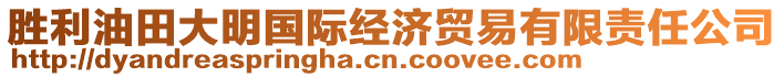 勝利油田大明國(guó)際經(jīng)濟(jì)貿(mào)易有限責(zé)任公司