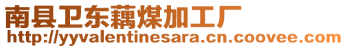 南縣衛(wèi)東藕煤加工廠