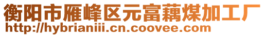 衡陽市雁峰區(qū)元富藕煤加工廠