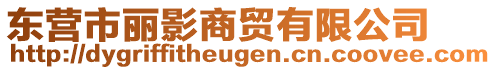 東營(yíng)市麗影商貿(mào)有限公司