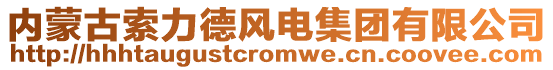 內(nèi)蒙古索力德風(fēng)電集團(tuán)有限公司