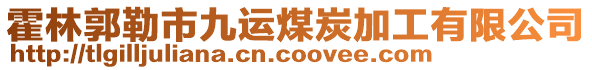 霍林郭勒市九運(yùn)煤炭加工有限公司