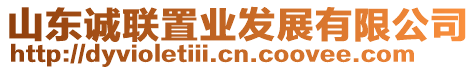 山東誠聯置業(yè)發(fā)展有限公司