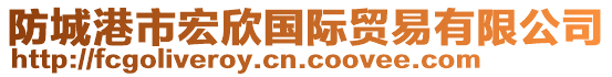 防城港市宏欣國際貿(mào)易有限公司