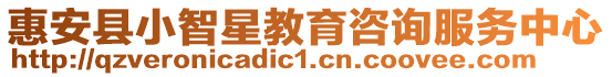 惠安縣小智星教育咨詢服務(wù)中心