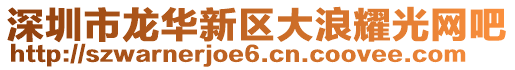 深圳市龍華新區(qū)大浪耀光網(wǎng)吧