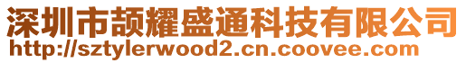 深圳市頡耀盛通科技有限公司