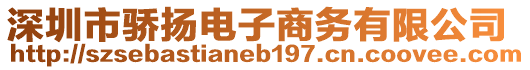 深圳市驕揚(yáng)電子商務(wù)有限公司