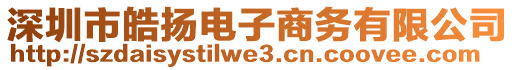 深圳市皓揚(yáng)電子商務(wù)有限公司