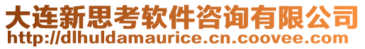 大連新思考軟件咨詢有限公司