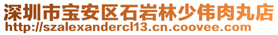 深圳市寶安區(qū)石巖林少偉肉丸店