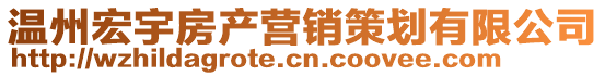 溫州宏宇房產(chǎn)營(yíng)銷策劃有限公司