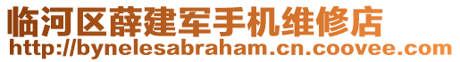 臨河區(qū)薛建軍手機(jī)維修店