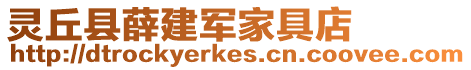 靈丘縣薛建軍家具店