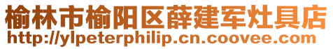 榆林市榆陽區(qū)薛建軍灶具店