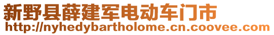 新野縣薛建軍電動車門市