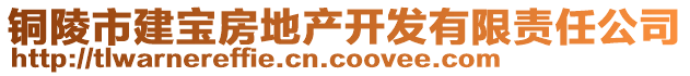 銅陵市建寶房地產(chǎn)開發(fā)有限責任公司