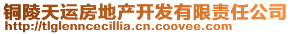 銅陵天運房地產(chǎn)開發(fā)有限責(zé)任公司