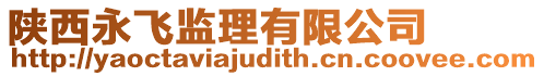 陜西永飛監(jiān)理有限公司