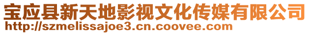 寶應(yīng)縣新天地影視文化傳媒有限公司