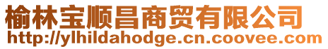 榆林寶順昌商貿有限公司