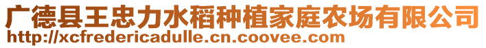 廣德縣王忠力水稻種植家庭農(nóng)場(chǎng)有限公司