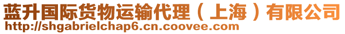 藍(lán)升國際貨物運(yùn)輸代理（上海）有限公司