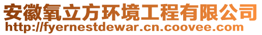 安徽氧立方環(huán)境工程有限公司