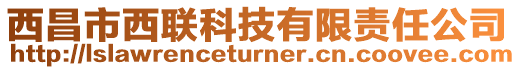 西昌市西聯(lián)科技有限責(zé)任公司