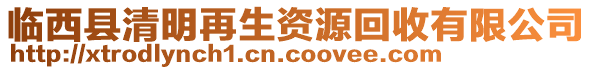 臨西縣清明再生資源回收有限公司