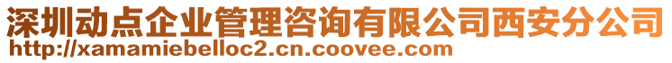 深圳動點企業(yè)管理咨詢有限公司西安分公司